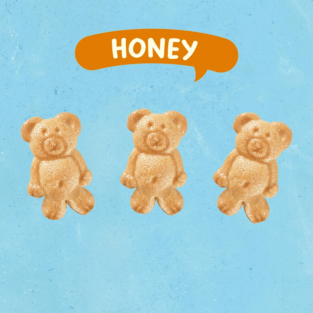 TEDDY GRAHAMS Honey Graham Snacks – Kids Snack Packs, 10-Pack