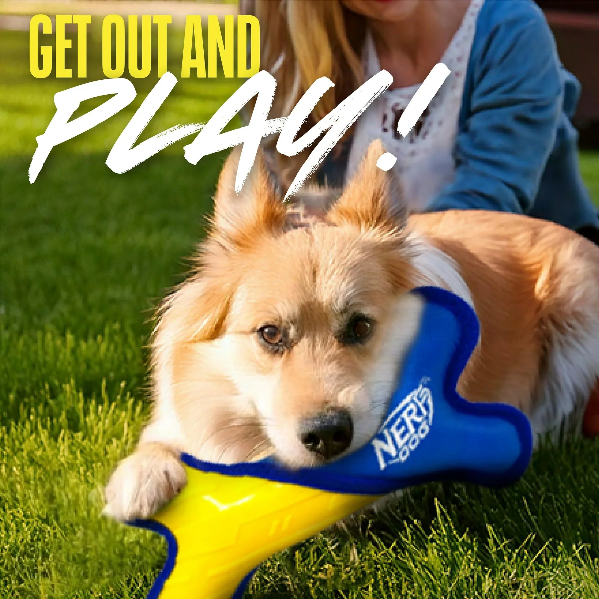 Nerf Dog Solid Tuff Nylon & Rubber Bone Toy – Durable 11" Chew Toy for Dogs