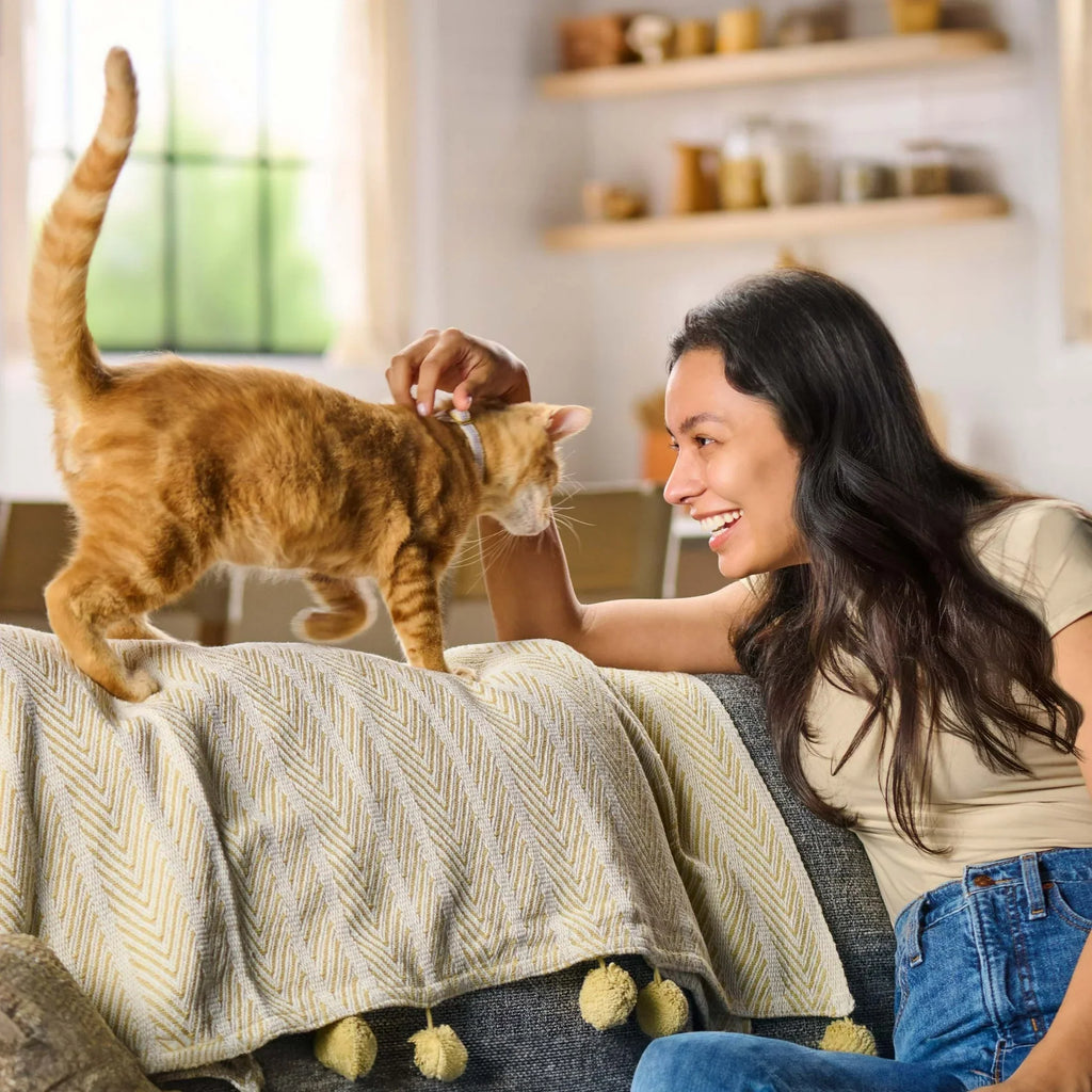 Meow Mix Original Choice Dry Cat Food – 30 lb Bag | Complete & Balanced Nutrition for Adult Cats