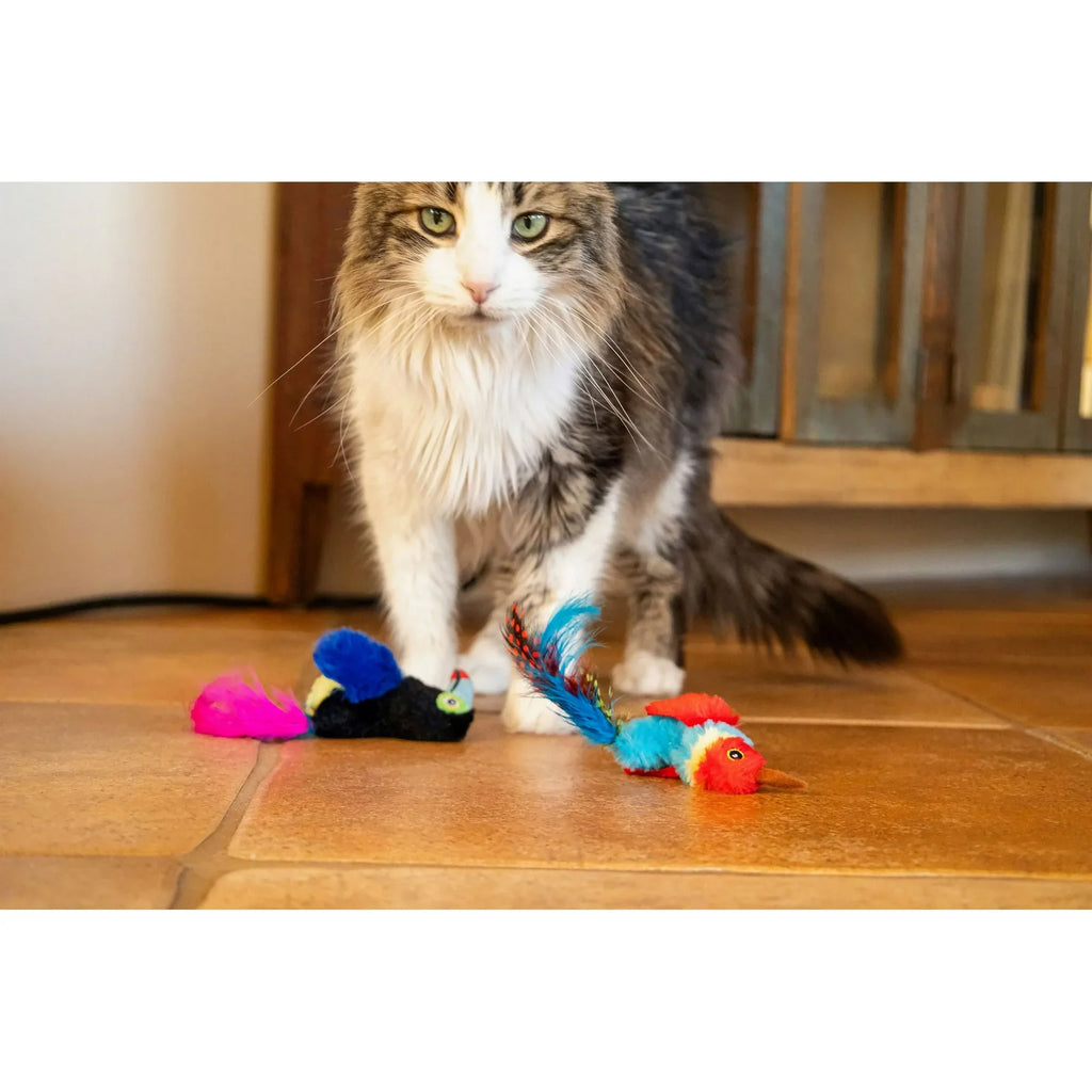 Vibrant Life Catnip Feather Birds Cat Toys – Parrot & Toucan Duo, 2-Pack Interactive Cat Play Set