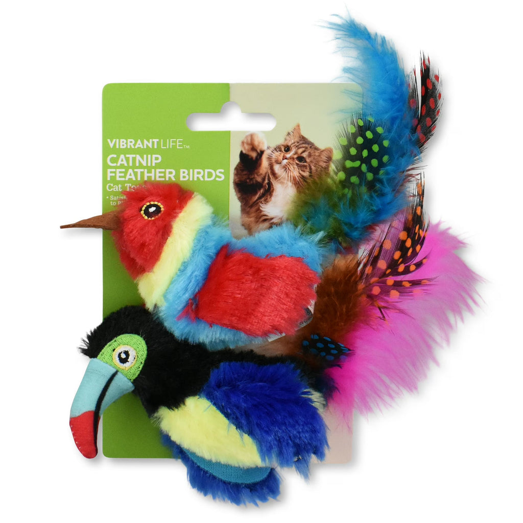 Vibrant Life Catnip Feather Birds Cat Toys – Parrot & Toucan Duo, 2-Pack Interactive Cat Play Set