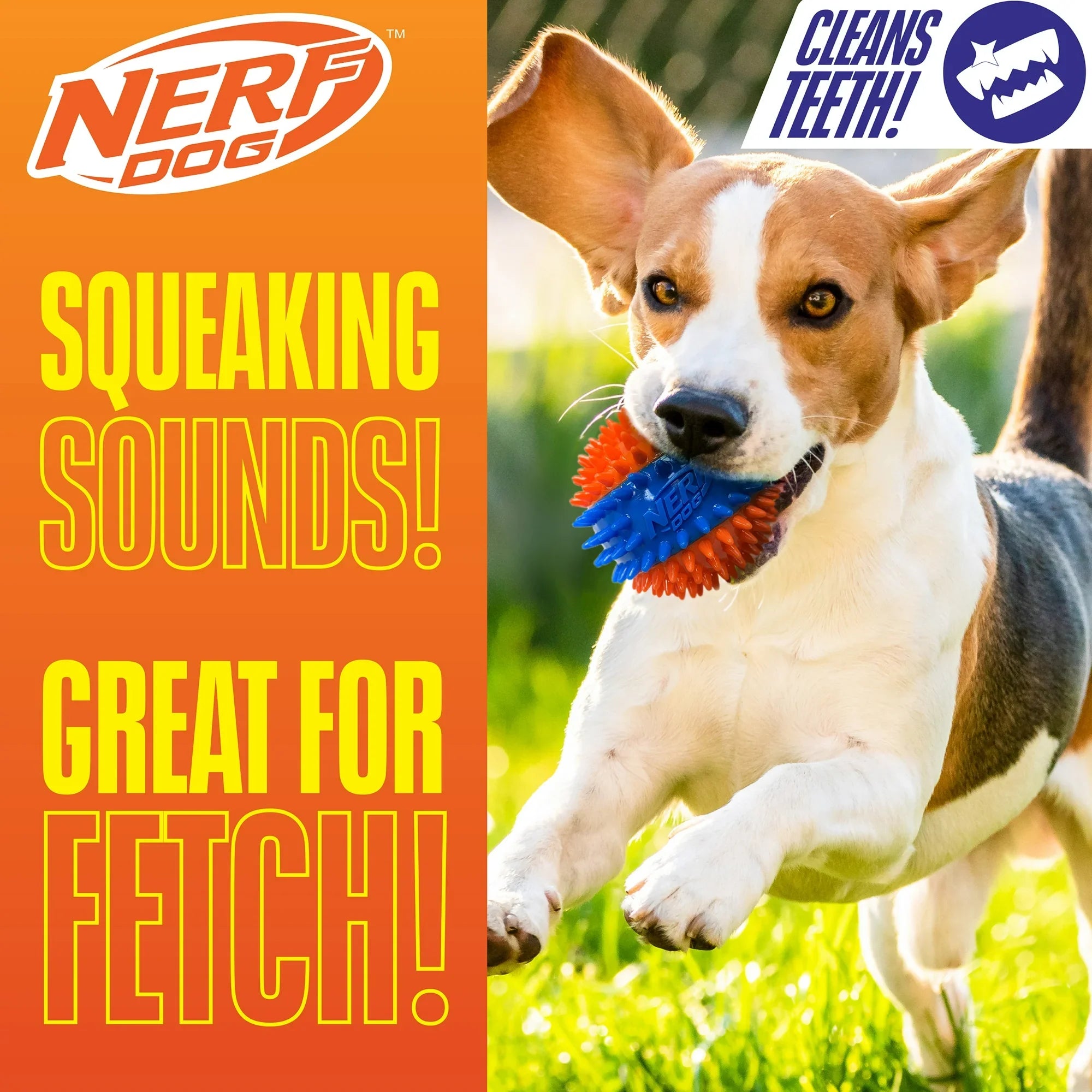 Nerf Dog Squeaky Dental Spike Ball Toy – Durable Orange/Blue 2.7" Interactive Dog Ball
