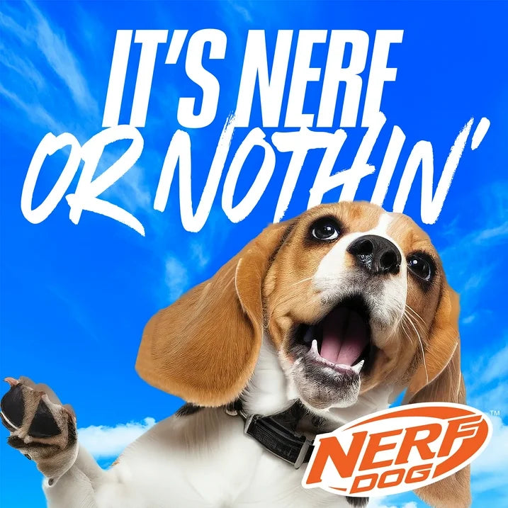 Nerf Dog Solid Tuff Nylon & Rubber Bone Toy – Durable 11" Chew Toy for Dogs