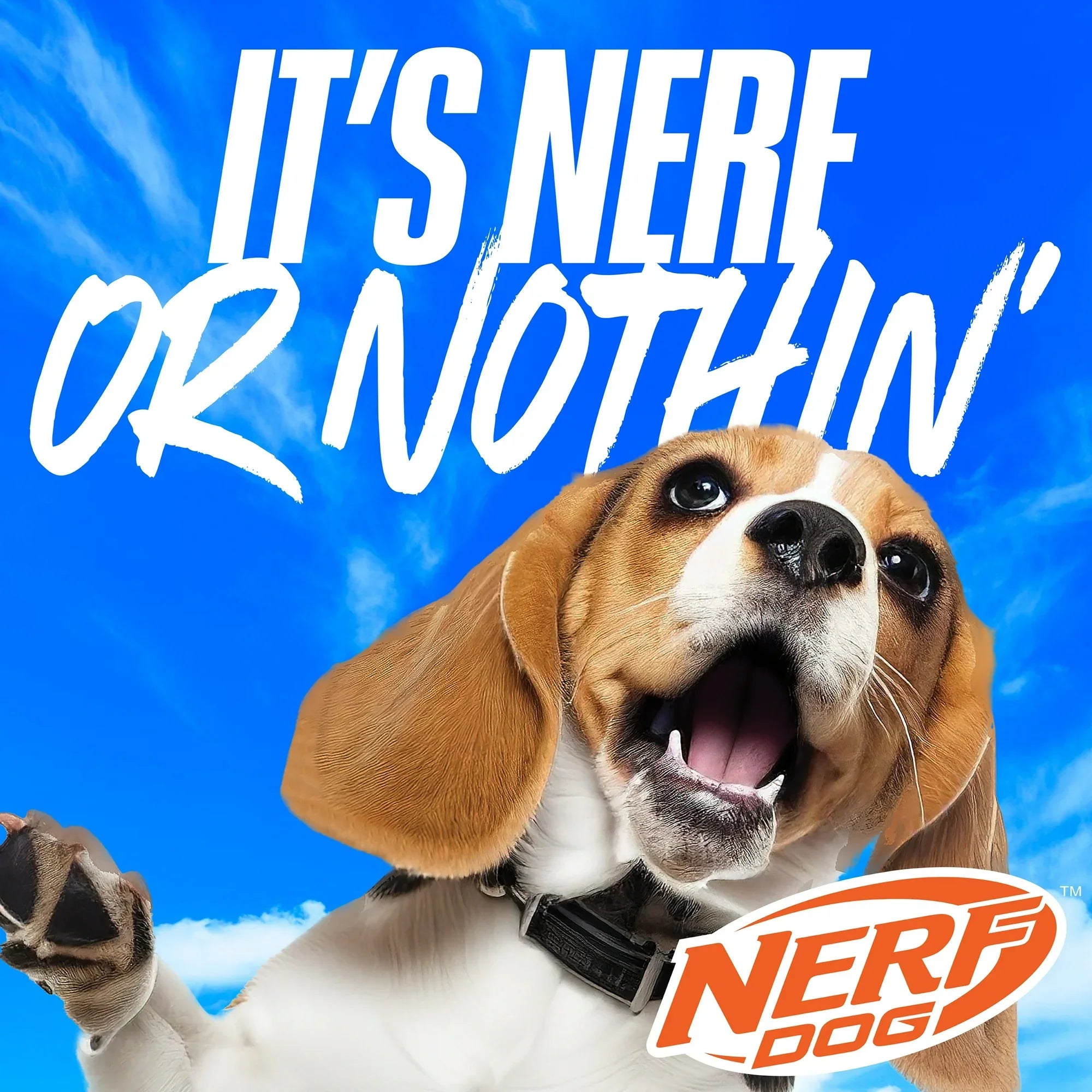 Nerf Dog Squeaky Dental Spike Ball Toy – Durable Orange/Blue 2.7" Interactive Dog Ball